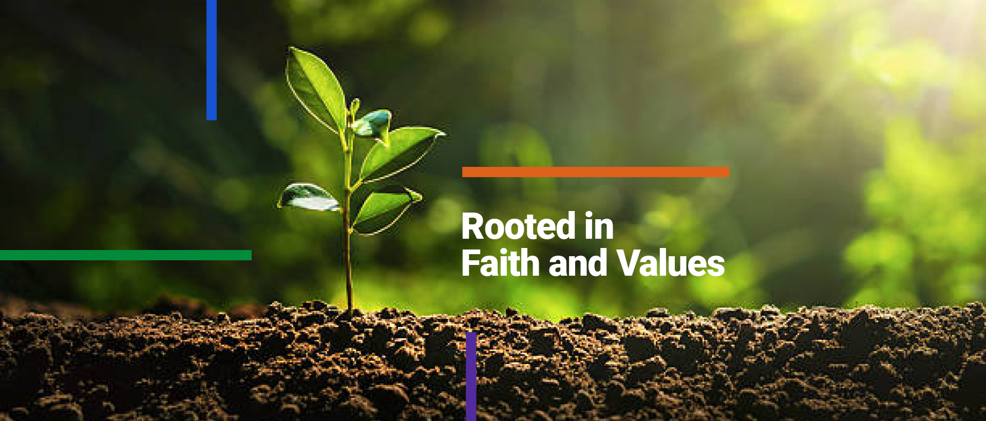 Rooted in faith and values